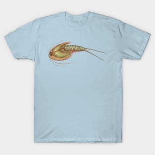 Triops longicaudatus T-Shirt